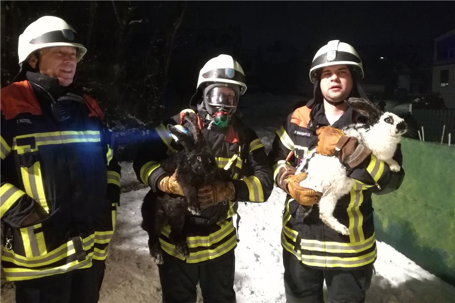 Holzofen löste Feuer aus: Tiere vor Flammen gerettet