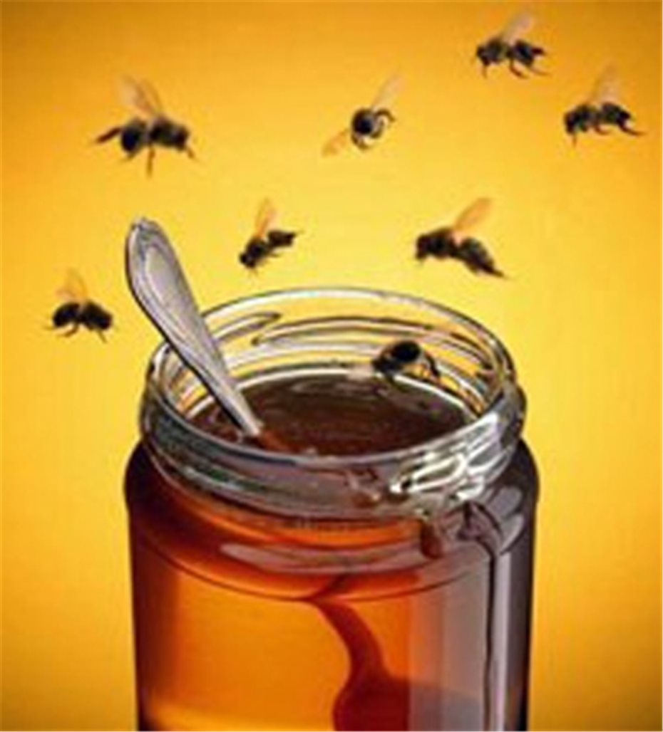 Honigbienen vor Faulbrut schützen