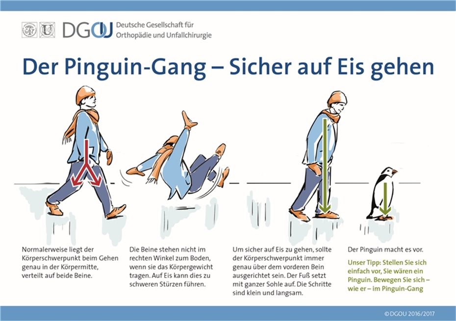 Von Pinguinen lernen: Sicher übers Eis watscheln