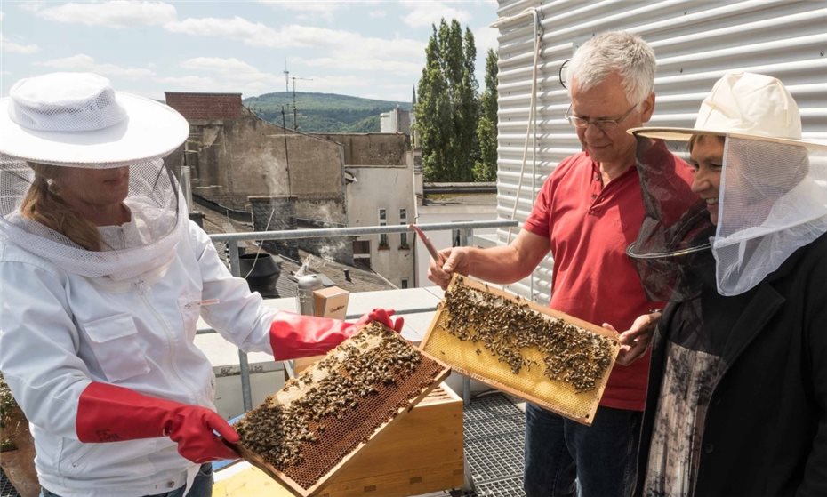 Bienenvölker
auf dem Dach der BfG