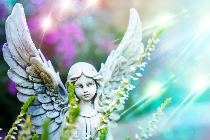 Trauerportal Trauerportal