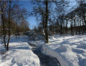 „Winterzauber rund um das
Nationale Naturerbe Stegskopf“