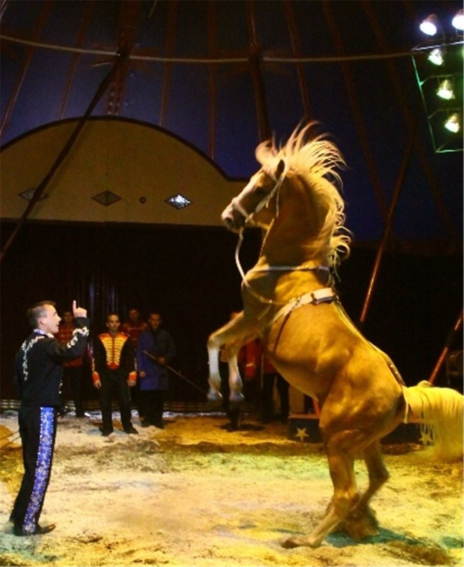 Circus-Spektakel der
ganz besonderen Art