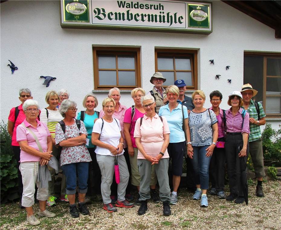 Wandern im heimischen Wald