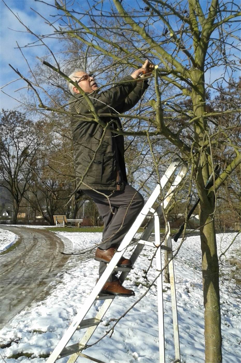 An Der Ahr Entsteht Eine Allee