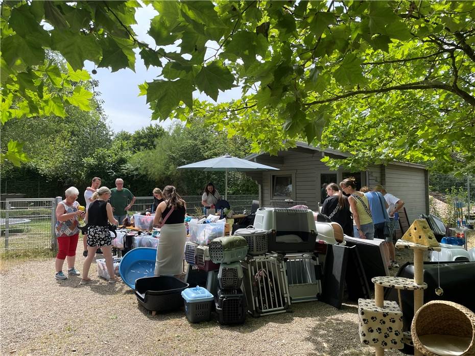 Erfolgreicher Flohmarkt
im Tierheim Andernach