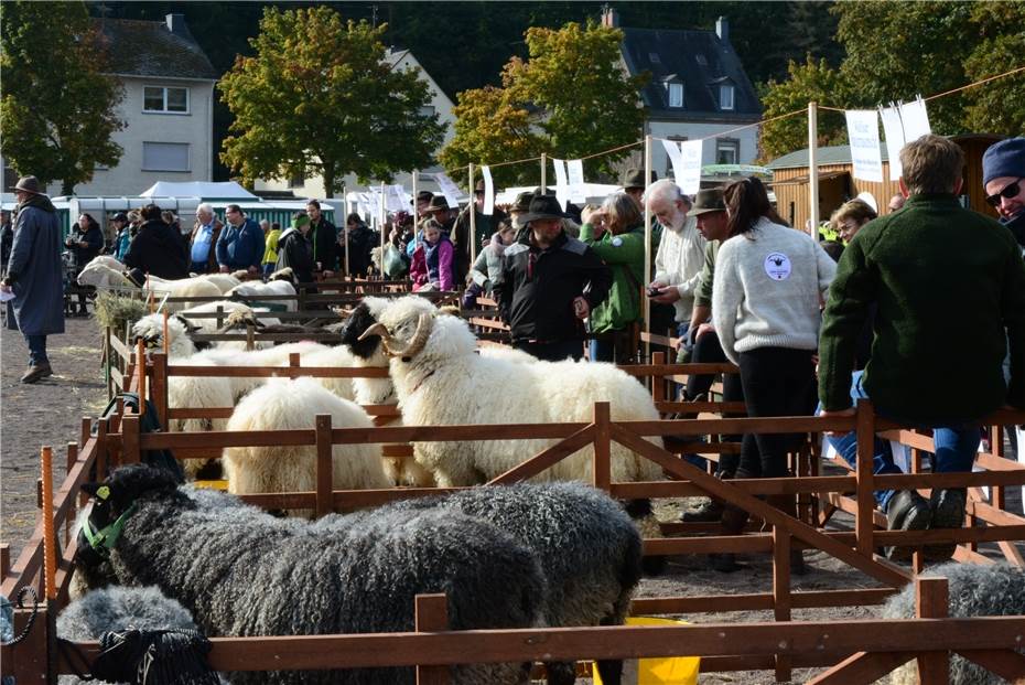 Tierische Klassiker als Besuchermagneten