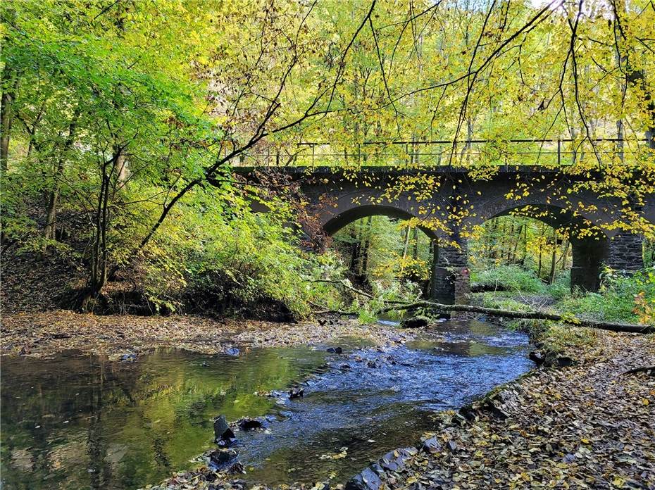 Überregionaler Wandertag mit umfangreichem Programm