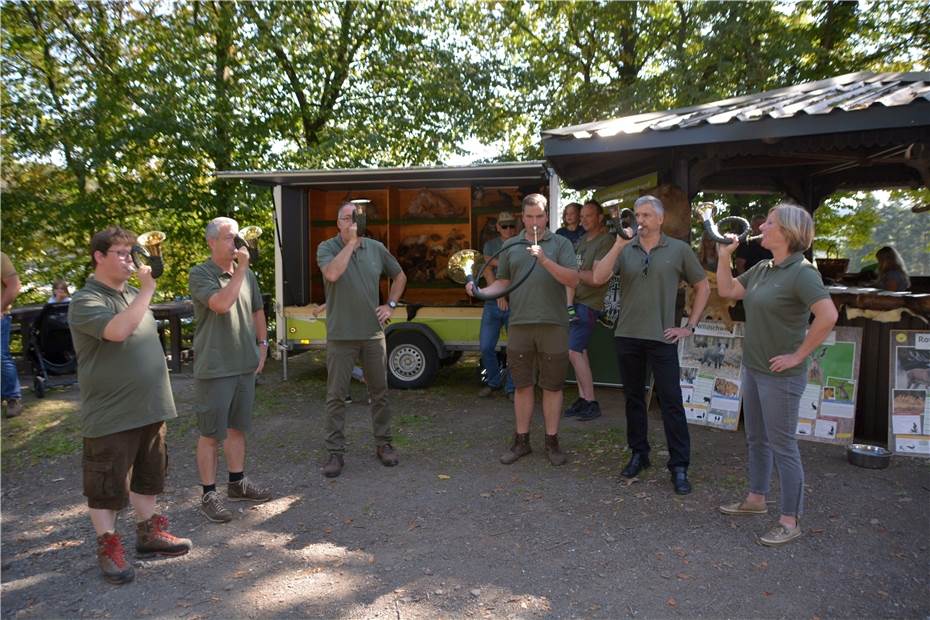 Walderlebnistag im Steinrausch begeistert mit bunter Vielfalt