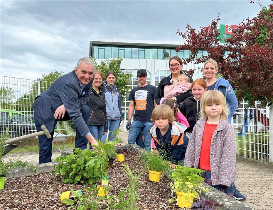 Wichtelgarten mit
Kräutern und Gemüse bereichert