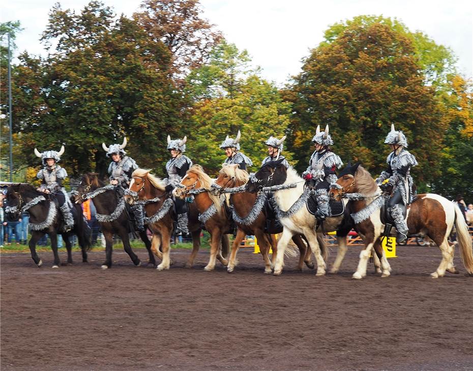 Faszination Pferdemarkt: Eine Mischung aus Tradition, Show und Unterhaltung