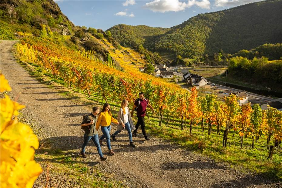 Indian Summer beim Herbst-Wein-Festival