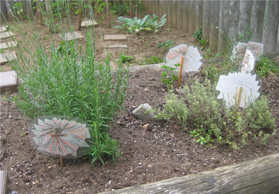 Ein Garten im Kindergarten