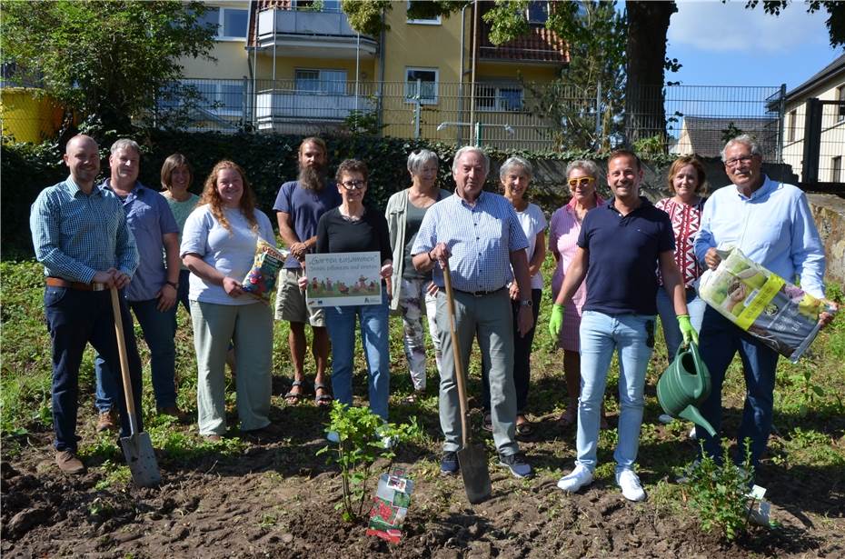 Gemeinsam Gemüse pflanzen und ernten