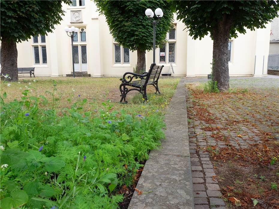 Innenhof der Rheinischen Philharmonie/ Görreshaus besser nutzbar machen