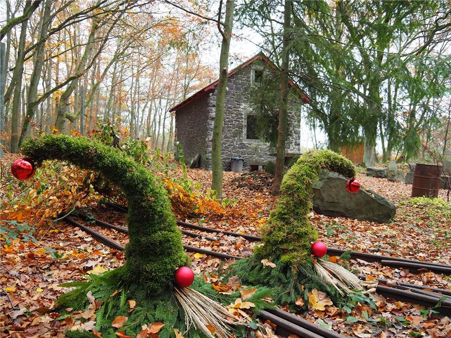 Im Kottenheimer Wunderwald warten die Weihnachtswichtel