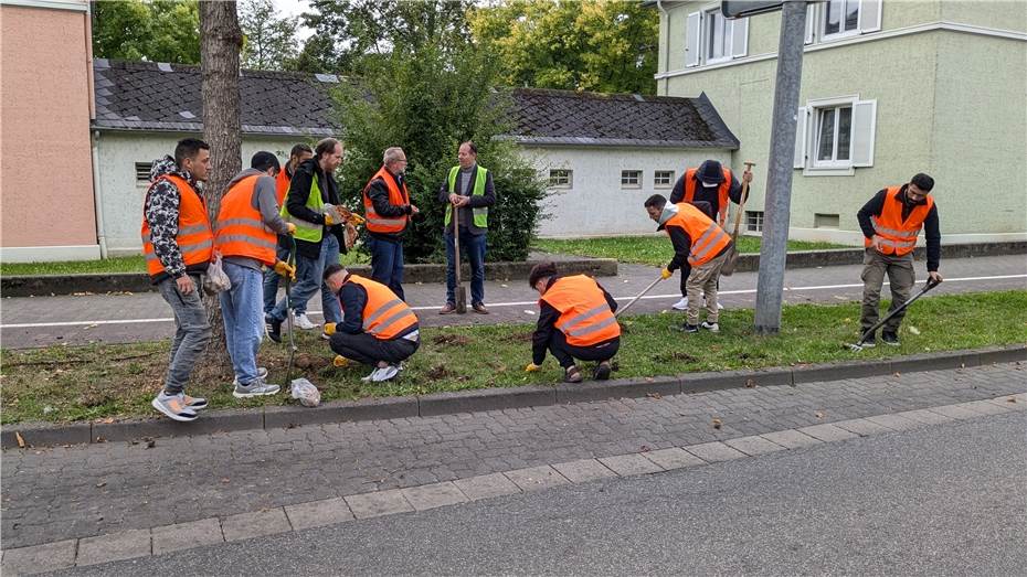 Einheitsbuddeln
in der Neuwieder Innenstadt