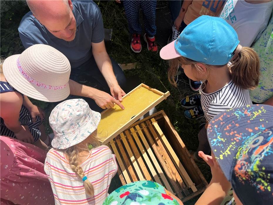 Bunte Hühner
treffen Schillerbienen