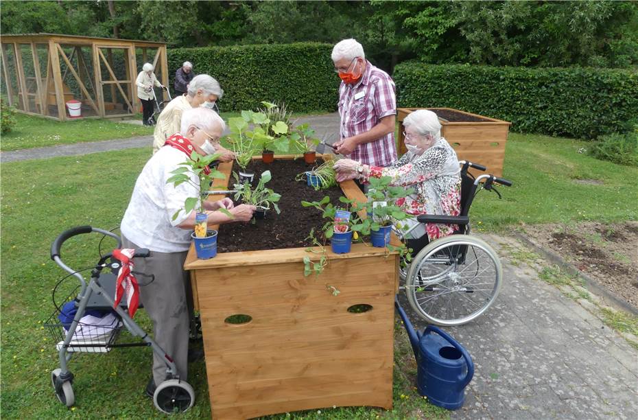 Gesund und lecker aus dem eigenen Garten