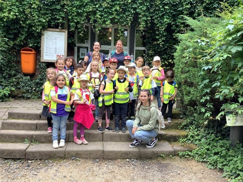 Vorschulkinder im Wald - und Wildpark