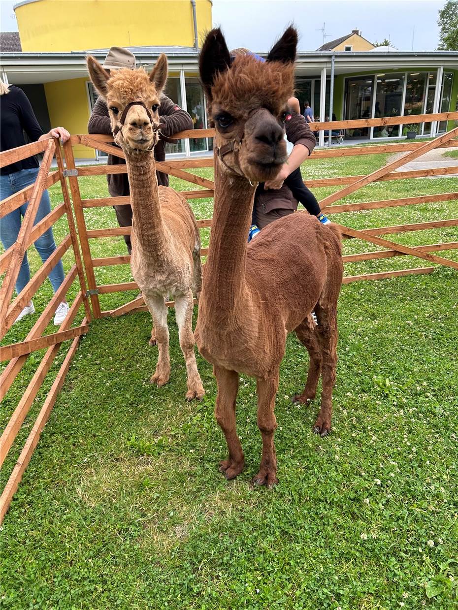 Pelzige Gäste zu Besuch