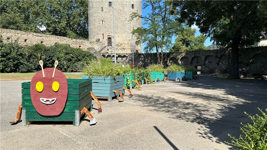 Raupe Nimmersatt lädt zum Ernten ein