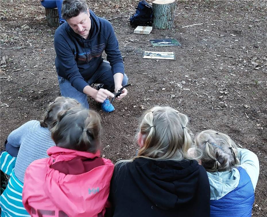 Wald wird zur Heimat