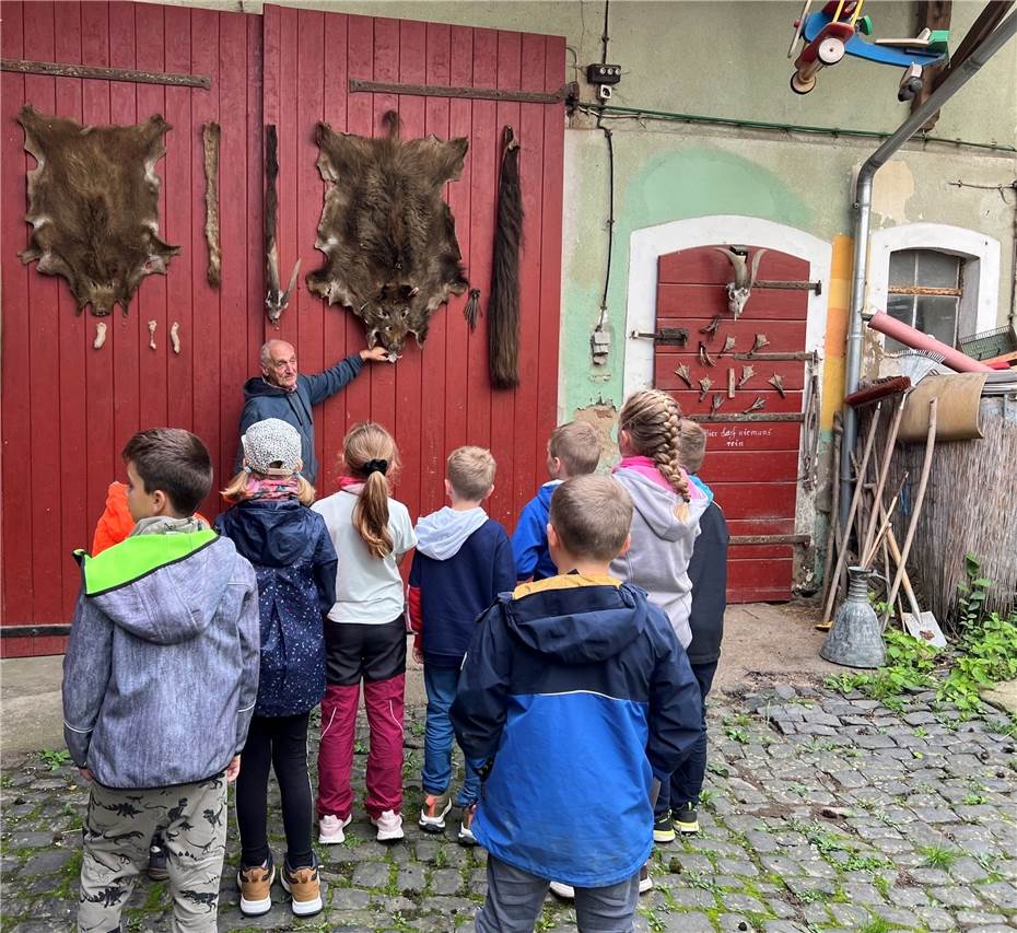 Von Hühnern und
Hasen bis zu Ziegen