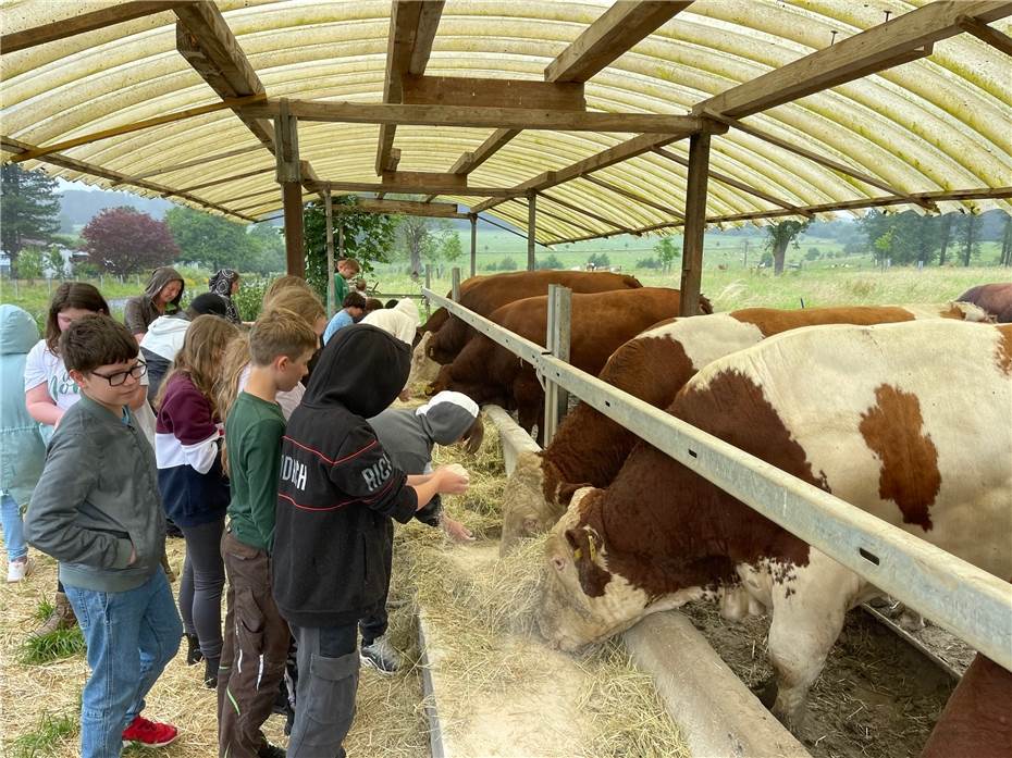 Der Lernort
Bauernhof ist klasse