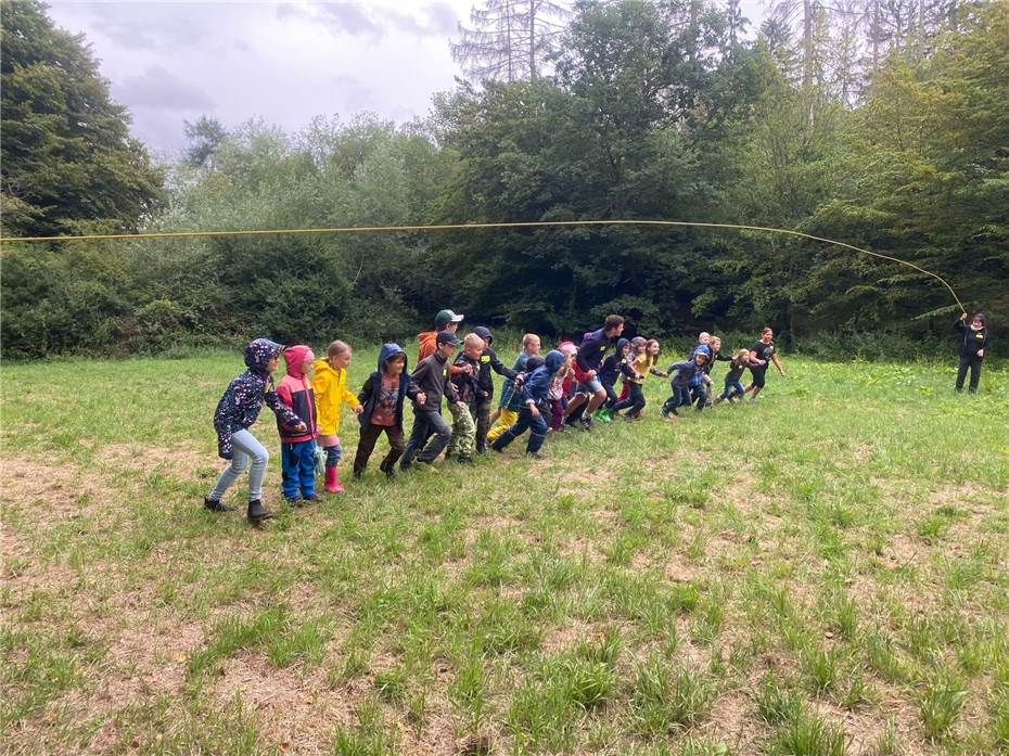 Spannende Waldabenteuer