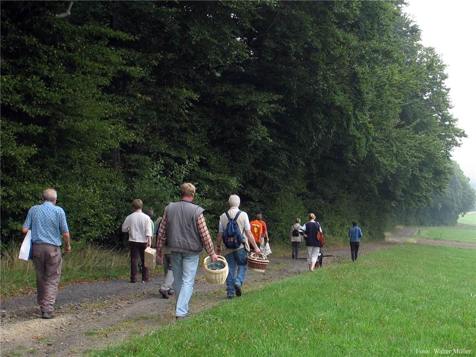 Pilzlehrwanderung in der Vulkanregion