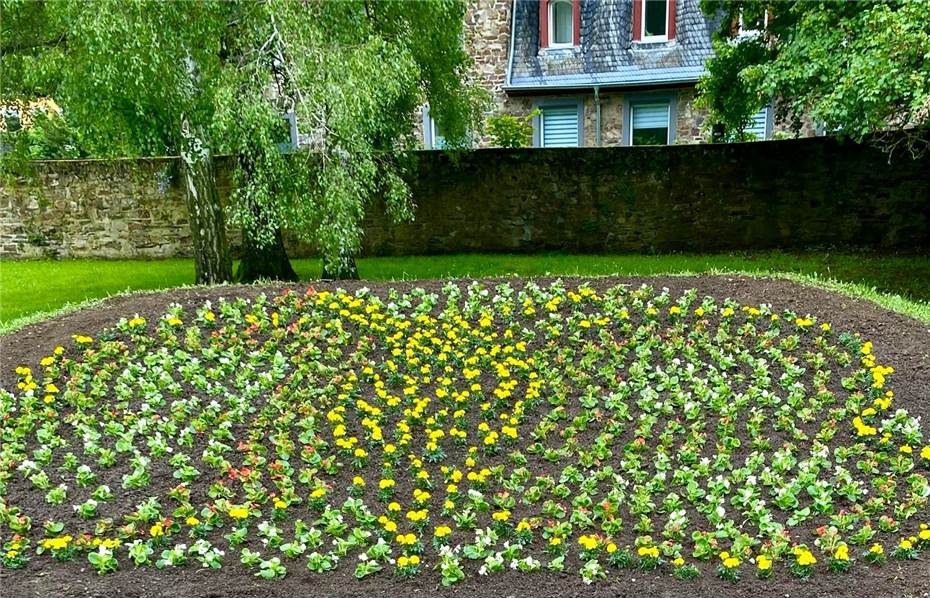 Blumenbeete der Stadt seit Jahren verschönert