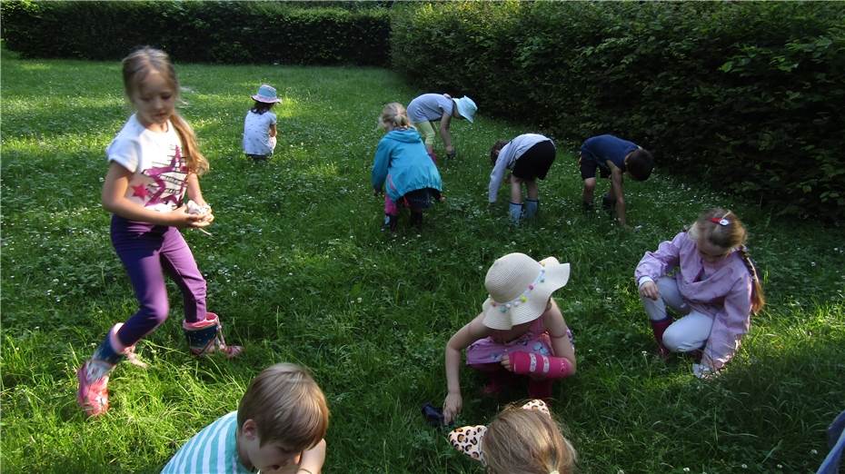 Survival-Vormittag
im Wambachtal