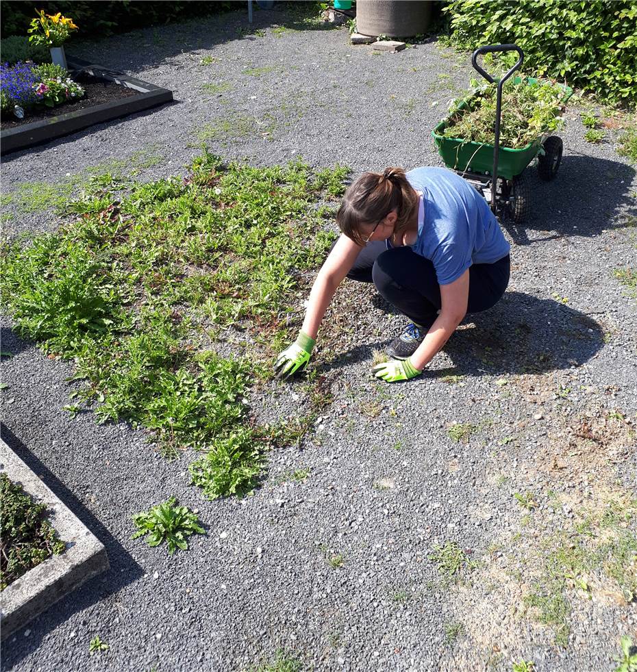 Mit „Hilfe zur Selbsthilfe“
den Friedhof verschönern