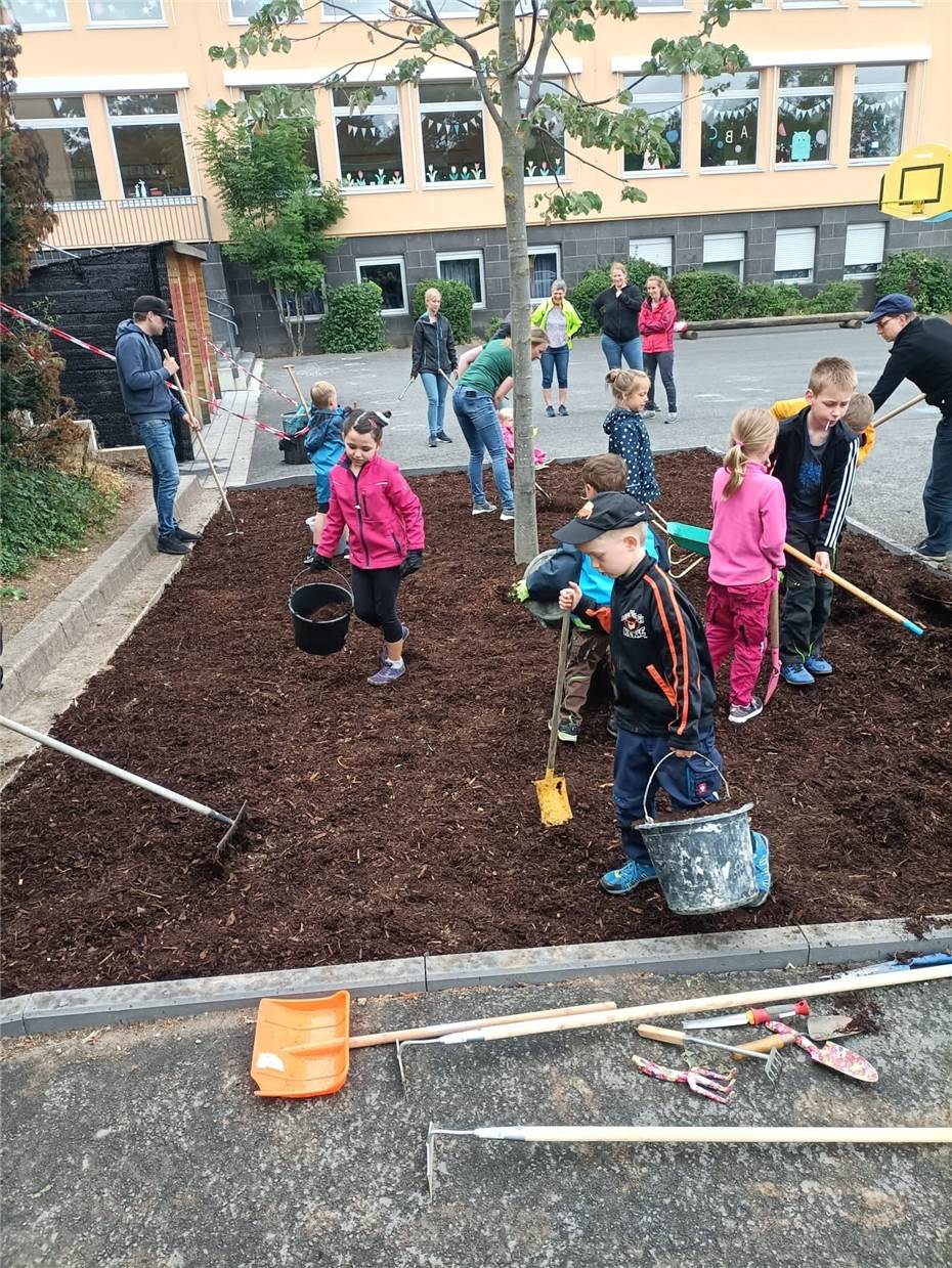 Grundschüler opfern Freizeit
für Baumpflege auf dem Schulhof