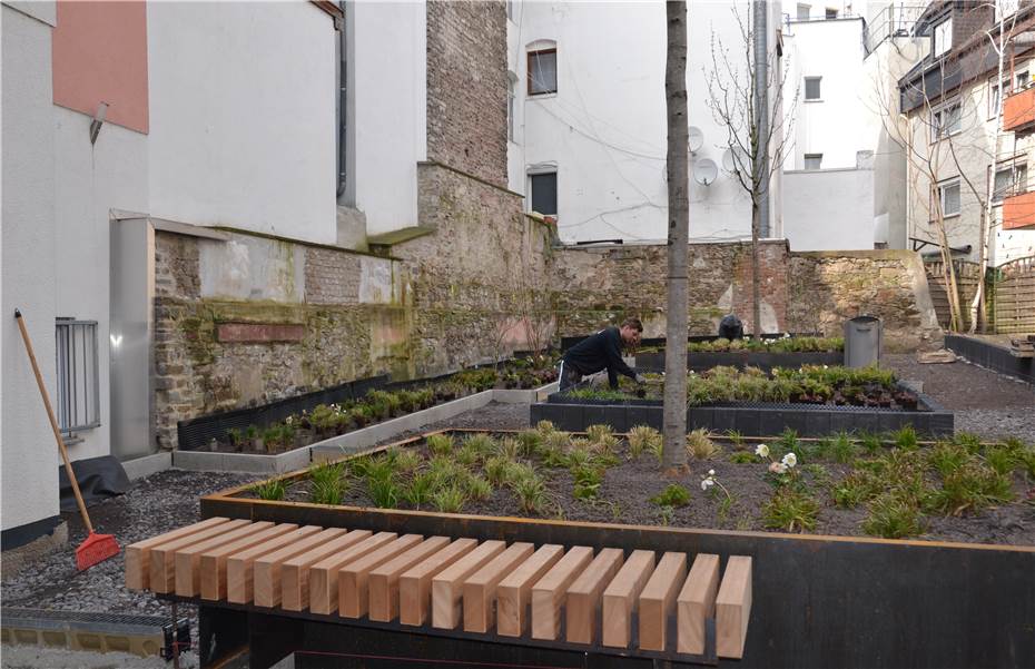Neuer Innenhof in
der Altstadt wird bepflanzt