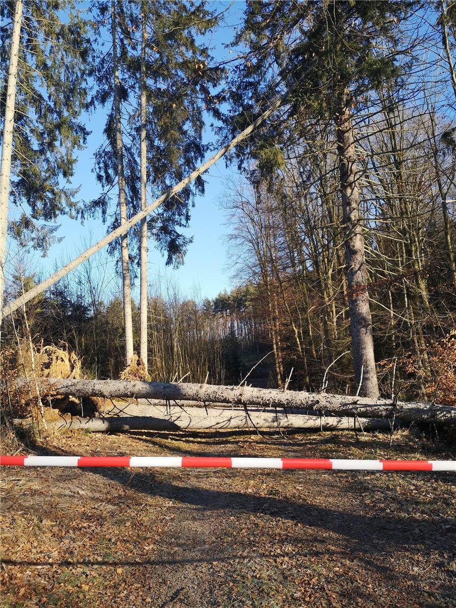 Nach Sturmtief Zoltan: Im Wald droht weiterhin Gefahr