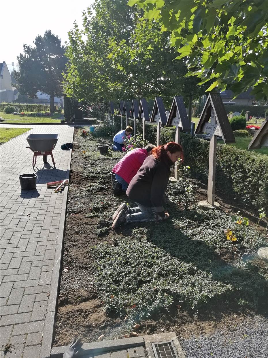 Pflege der
unbekannten Soldaten