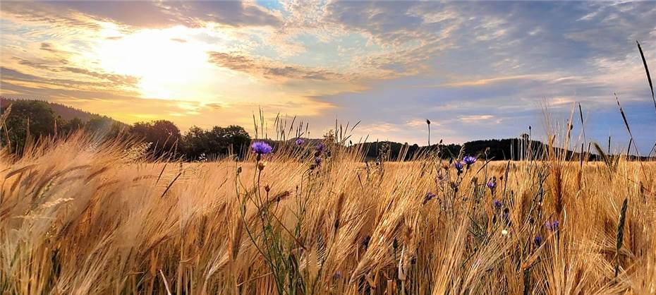 Schönste Bilder aus der Vordereifel wurden prämiert