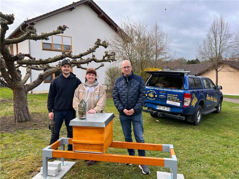 Zwei Bienenvölker bei den Barmherzigen Brüdern eingezogen