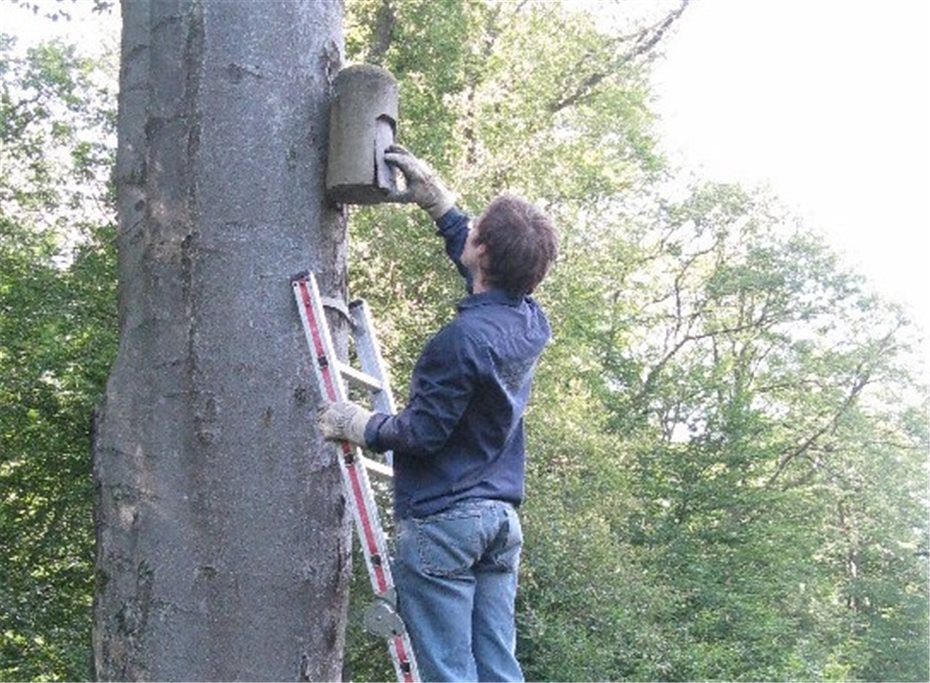 Besondere Erfahrung In Der Natur Machen