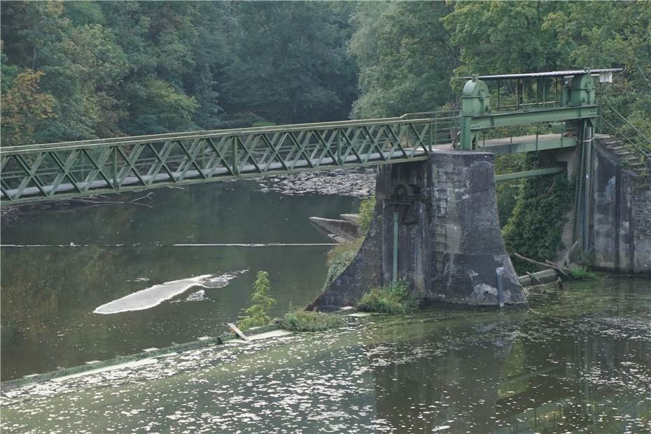 In Altwied droht eine ökologische Katastrophe