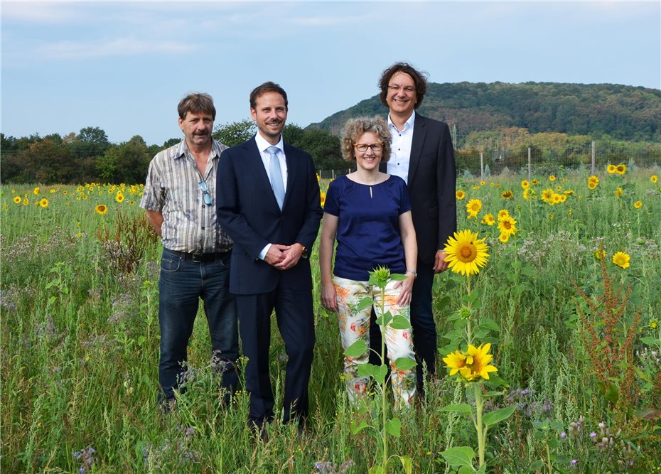 Bitte Keine Blumen Pflucken