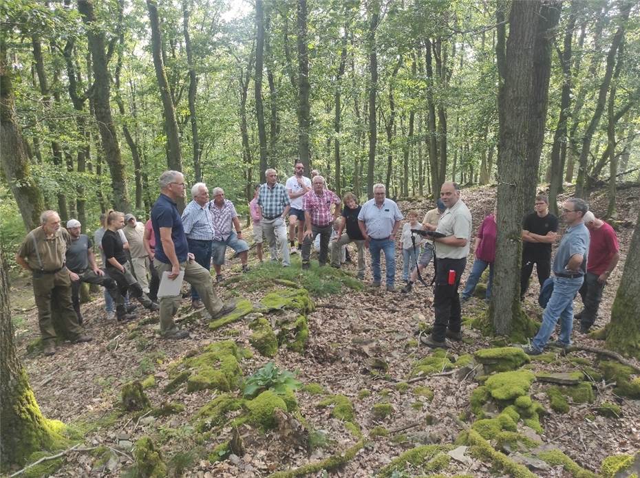 Historische Waldnutzung
und moderne Forstwirtschaft