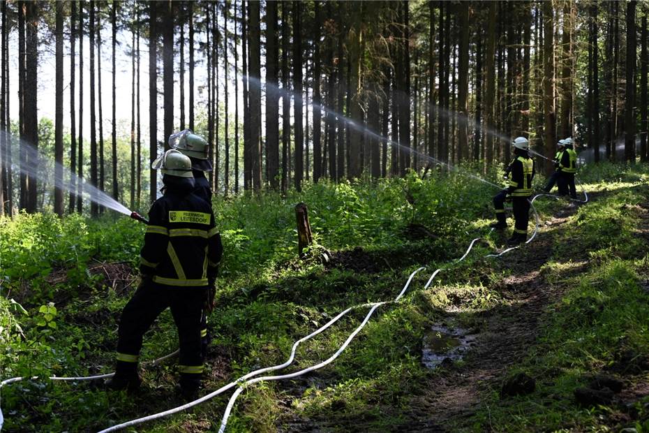 Rund 200 Einsatzkräfte des Brand- und Katastrophenschutzes
im Landkreis Neuwied führen große Waldbr