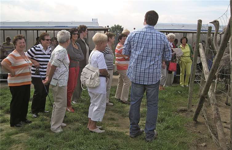 Interessanter Ausflug zur Straußenfarm Interessanter Ausflug zur Straußenfarm