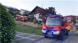 Einsätze der Feuerwehr Rengsdorf-Waldbreitbach: Tierrettung, Gasaustritt und Brände