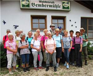 Wandern im heimischen Wald