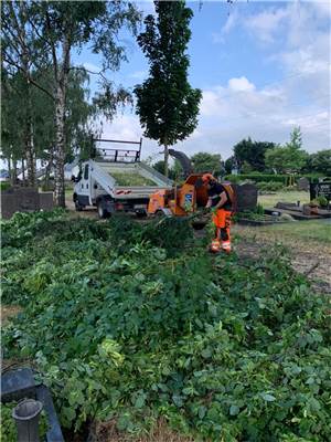 Bäume auf Friedhof und Radweg umgestürzt