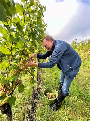 Oster stärkt Moselwinzern den Rücken